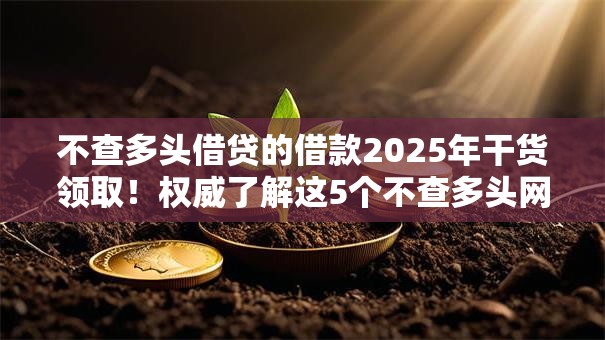 不查多头借贷的借款2025年干货领取!权威了解这5个不查多头网贷的贷款口子 不查多头借贷的借款2025年干货领取!权威了解这5个不查多头网贷的贷款口子