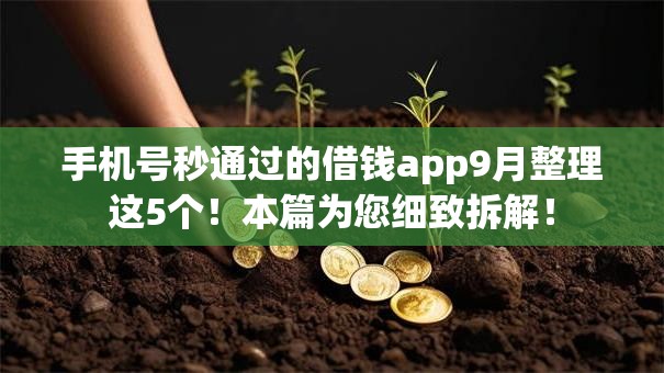 手机号秒通过的借钱app9月整理这5个!本篇为您细致拆解! 手机号秒通过的借钱app9月整理这5个!本篇为您细致拆解!