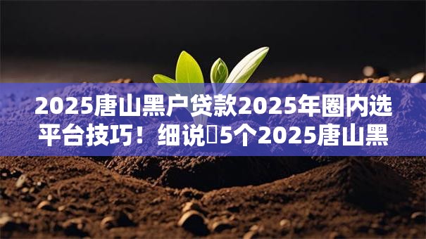 2025唐山黑户贷款2025年圈内选平台技巧！细说​5个2025唐山黑户借钱软件口子