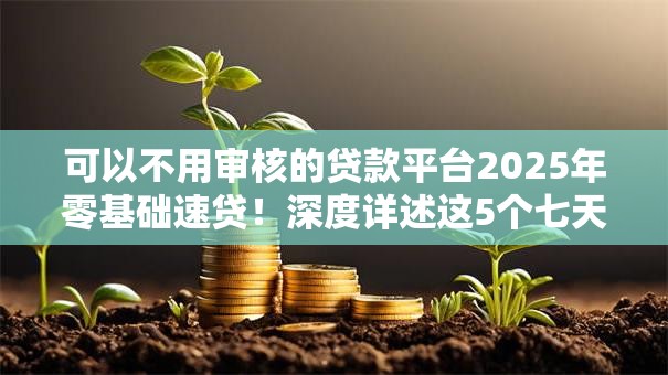 可以不用审核的贷款平台2025年零基础速贷!深度详述这5个七天贷款口子我微信给钱要给十块钱- 可以不用审核的贷款平台2025年零基础速贷!深度详述这5个七天贷款口子我微信给钱要给十块钱-