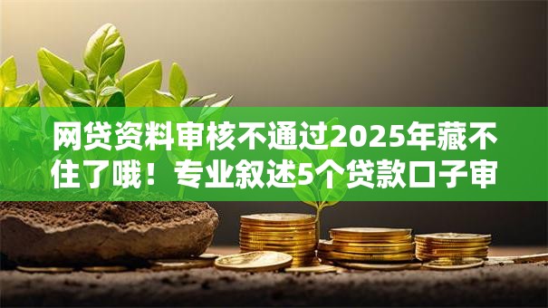网贷资料审核不通过2025年藏不住了哦！专业叙述5个贷款口子审核不通过借钱