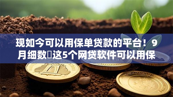 现如今可以用保单贷款的平台!9月细数这5个网贷软件可以用保单借钱口子 现如今可以用保单贷款的平台!9月细数这5个网贷软件可以用保单借钱口子