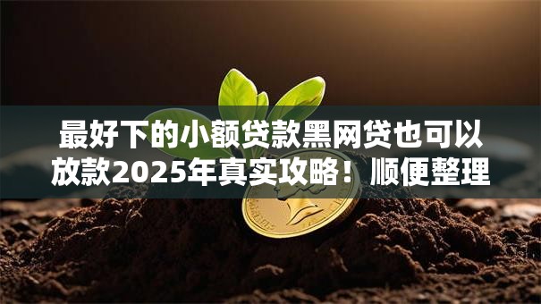 最好下的小额贷款黑网贷也可以放款2025年真实攻略!顺便整理5个最好借的网贷口子也能放钱 最好下的小额贷款黑网贷也可以放款2025年真实攻略!顺便整理5个最好借的网贷口子也能放钱
