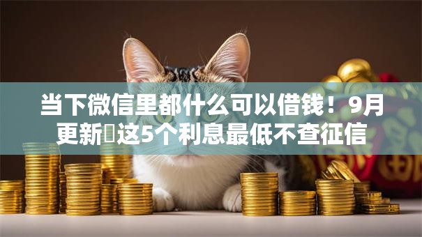 当下微信里都什么可以借钱!9月更新这5个利息最低不查征信 当下微信里都什么可以借钱!9月更新这5个利息最低不查征信