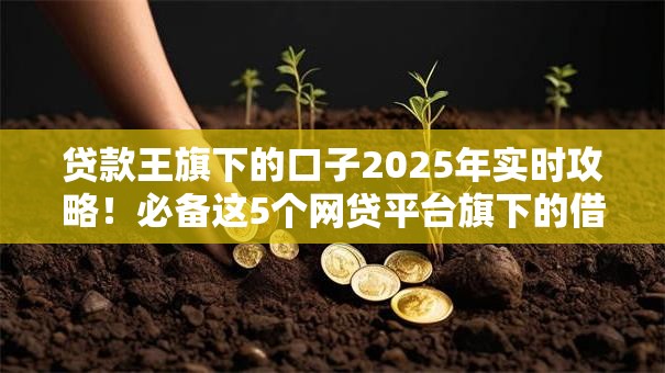 贷款王旗下的口子2025年实时攻略!必备这5个网贷平台旗下的借款口子 贷款王旗下的口子2025年实时攻略!必备这5个网贷平台旗下的借款口子