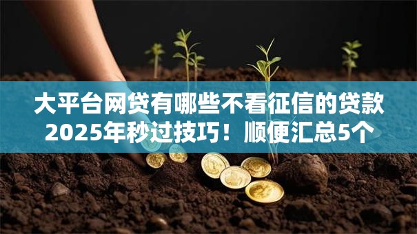 大平台网贷有哪些不看征信的贷款2025年秒过技巧!顺便汇总5个借款口子有些不看征信的网贷 大平台网贷有哪些不看征信的贷款2025年秒过技巧!顺便汇总5个借款口子有些不看征信的网贷