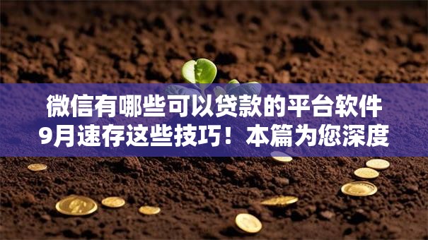 微信有哪些可以贷款的平台软件9月速存这些技巧!本篇为您深度探索! 微信有哪些可以贷款的平台软件9月速存这些技巧!本篇为您深度探索!
