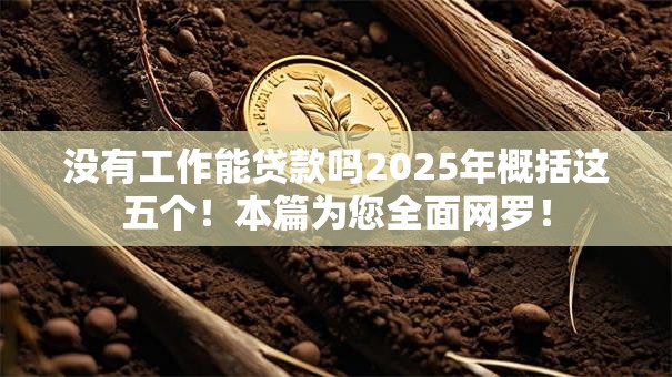 没有工作能贷款吗2025年概括这五个！本篇为您全面网罗！