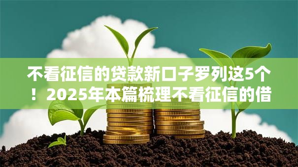 不看征信的贷款新口子罗列这5个!2025年本篇梳理不看征信的借钱新平台 不看征信的贷款新口子罗列这5个!2025年本篇梳理不看征信的借钱新平台