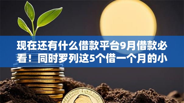 现在还有什么借款平台9月借款必看！同时罗列这5个借一个月的小额贷款