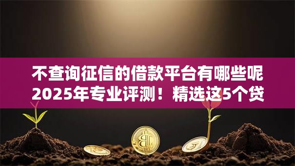 不查询征信的借款平台有哪些呢2025年专业评测！精选这5个贷款口子不查询征信的很多