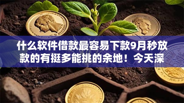 什么软件借款最容易下款9月秒放款的有挺多能挑的余地!今天深度严挑这五个黑户网贷软件! 什么软件借款最容易下款9月秒放款的有挺多能挑的余地!今天深度严挑这五个黑户网贷软件!