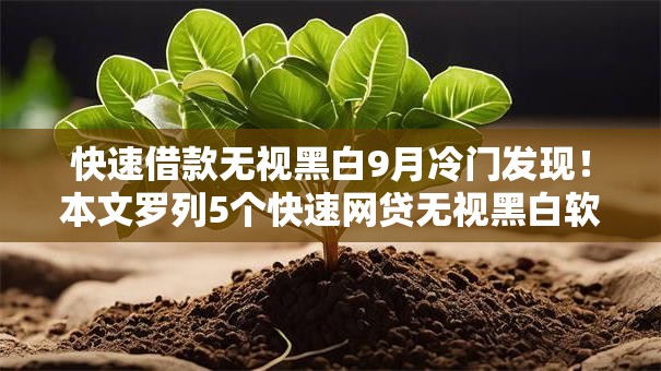 快速借款无视黑白9月冷门发现！本文罗列5个快速网贷无视黑白软件