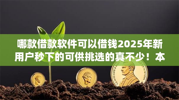 哪款借款软件可以借钱2025年新用户秒下的可供挑选的真不少!本文为您全面整合这五个黑户借钱app! 哪款借款软件可以借钱2025年新用户秒下的可供挑选的真不少!本文为您全面整合这五个黑户借钱app!