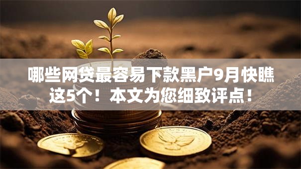 哪些网贷最容易下款黑户9月快瞧这5个！本文为您细致评点！