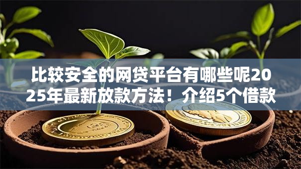 比较安全的网贷平台有哪些呢2025年最新放款方法！介绍5个借款口子安全的软件有哪些