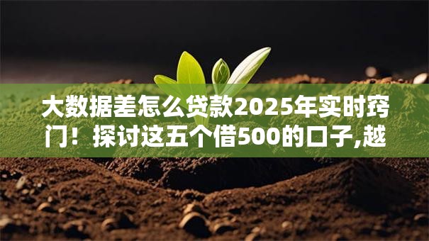 大数据差怎么贷款2025年实时窍门！探讨这五个借500的口子,越快越好
