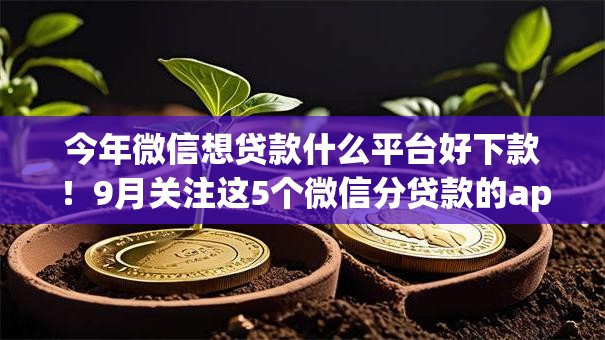 今年微信想贷款什么平台好下款！9月关注这5个微信分贷款的app