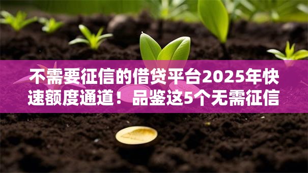 不需要征信的借贷平台2025年快速额度通道！品鉴这5个无需征信的网贷软件可以借钱