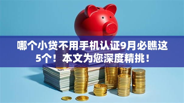 哪个小贷不用手机认证9月必瞧这5个！本文为您深度精挑！