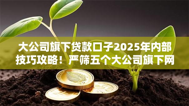 大公司旗下贷款口子2025年内部技巧攻略！严筛五个大公司旗下网贷软件借钱渠道