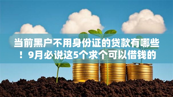 当前黑户不用身份证的贷款有哪些！9月必说这5个求个可以借钱的口子