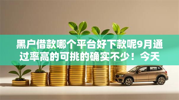 黑户借款哪个平台好下款呢9月通过率高的可挑的确实不少！今天为您隆重发布这五个贷款口子！