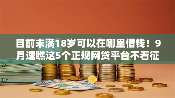 目前未满18岁可以在哪里借钱！9月速瞧这5个正规网贷平台不看征信的