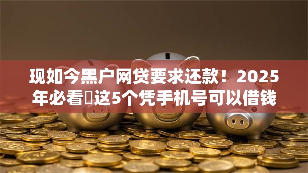现如今黑户网贷要求还款！2025年必看​这5个凭手机号可以借钱嘛