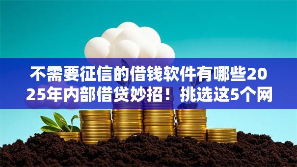 不需要征信的借钱软件有哪些2025年内部借贷妙招！挑选这5个网贷平台贷款不需要征信