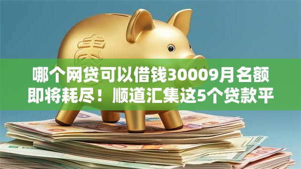 哪个网贷可以借钱30009月名额即将耗尽！顺道汇集这5个贷款平台可以借款3000