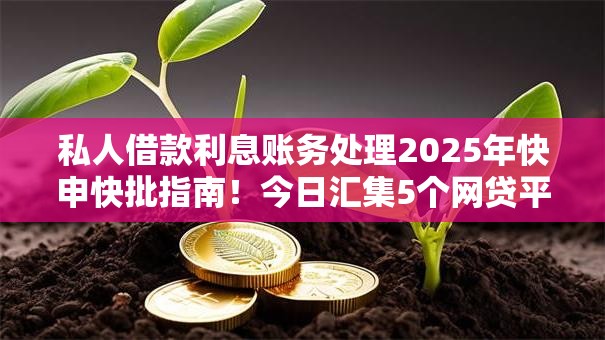 私人借款利息账务处理2025年快申快批指南！今日汇集5个网贷平台利息账务处理