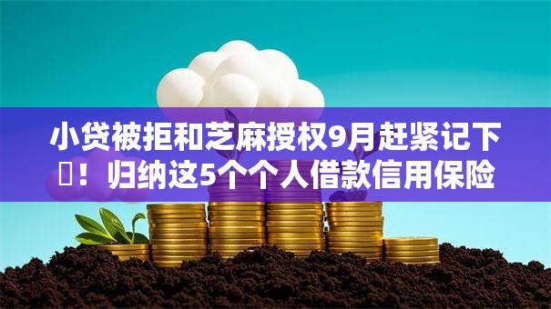 小贷被拒和芝麻授权9月赶紧记下‌！归纳这5个个人借款信用保险