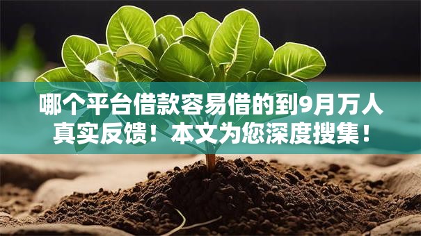 哪个平台借款容易借的到9月万人真实反馈!本文为您深度搜集! 哪个平台借款容易借的到9月万人真实反馈!本文为您深度搜集!