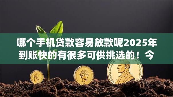 哪个手机贷款容易放款呢2025年到账快的有很多可供挑选的!今天为您探讨这五个借钱app! 哪个手机贷款容易放款呢2025年到账快的有很多可供挑选的!今天为您探讨这五个借钱app!