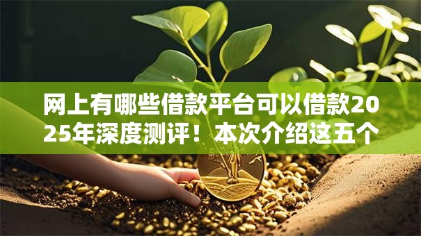 网上有哪些借款平台可以借款2025年深度测评!本次介绍这五个网贷口子可以借钱 网上有哪些借款平台可以借款2025年深度测评!本次介绍这五个网贷口子可以借钱