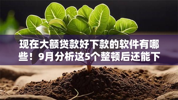 现在大额贷款好下款的软件有哪些！9月分析这5个整顿后还能下的黑户口子