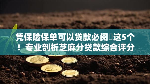 凭保险保单可以贷款必阅​这5个！专业剖析芝麻分贷款综合评分