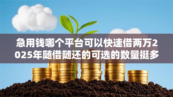 急用钱哪个平台可以快速借两万2025年随借随还的可选的数量挺多！本文为您深入聚合这五个黑户借款平台！