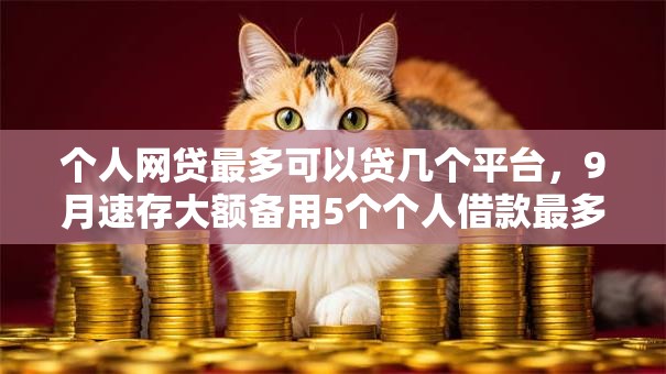 个人网贷最多可以贷几个平台，9月速存大额备用5个个人借款最多可以借几口子