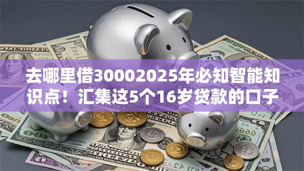 去哪里借30002025年必知智能知识点!汇集这5个16岁贷款的口子 去哪里借30002025年必知智能知识点!汇集这5个16岁贷款的口子