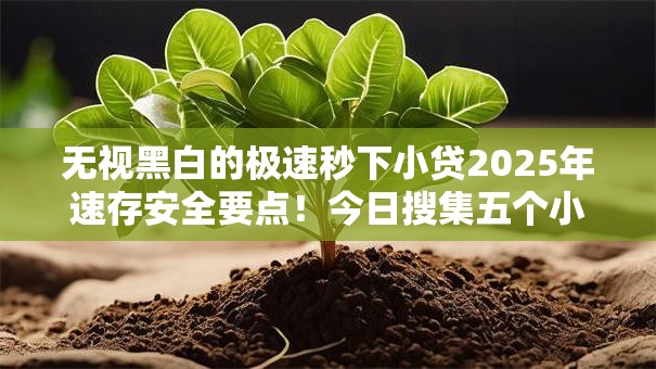 无视黑白的极速秒下小贷2025年速存安全要点！今日搜集五个小额贷款口子不查征信