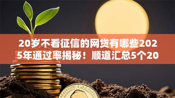 20岁不看征信的网贷有哪些2025年通过率揭秘！顺道汇总5个20岁不看征信的借钱口子