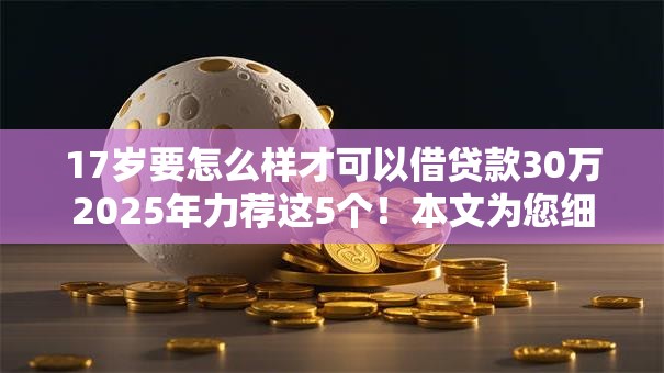 17岁要怎么样才可以借贷款30万2025年力荐这5个！本文为您细致说明！