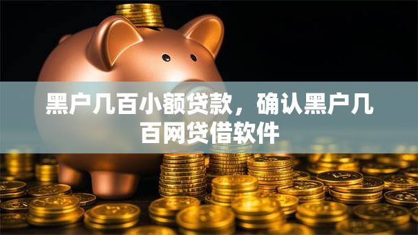 黑户几百小额贷款，确认黑户几百网贷借软件