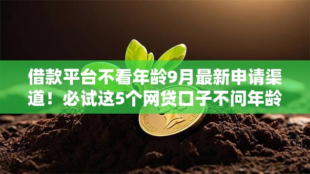 借款平台不看年龄9月最新申请渠道！必试这5个网贷口子不问年龄