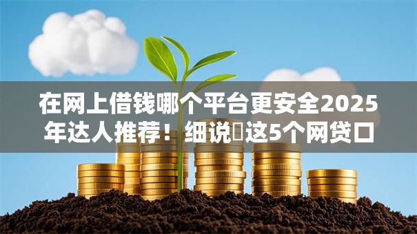 在网上借钱哪个平台更安全2025年达人推荐!细说这5个网贷口子借款软件更安全 在网上借钱哪个平台更安全2025年达人推荐!细说这5个网贷口子借款软件更安全