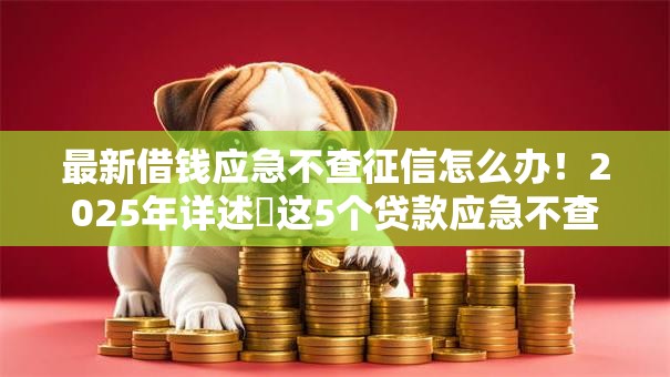 最新借钱应急不查征信怎么办！2025年详述​这5个贷款应急不查征信的口子