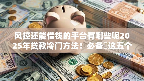 风控还能借钱的平台有哪些呢2025年贷款冷门方法!必备这五个网贷口子还能贷款软件 风控还能借钱的平台有哪些呢2025年贷款冷门方法!必备这五个网贷口子还能贷款软件