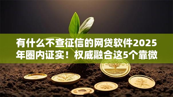 有什么不查征信的网贷软件2025年圈内证实!权威融合这5个靠微信和手机号借钱 有什么不查征信的网贷软件2025年圈内证实!权威融合这5个靠微信和手机号借钱